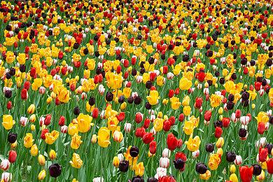 曝《地平线》MMO游戏被寄予厚望 或将吸引上百万玩家