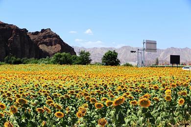 发售不满一个月 《飙酷车神：轰鸣盛典》已开始打折免费试玩